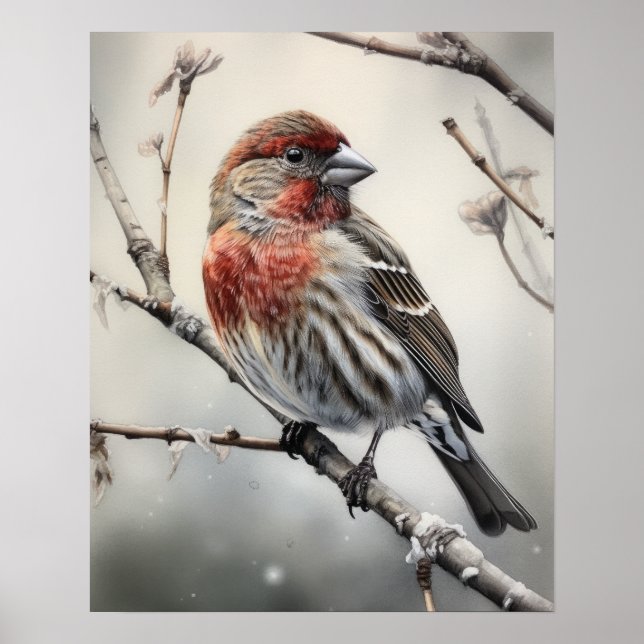 Póster House Finch Bird Art Print Poster (Frente)