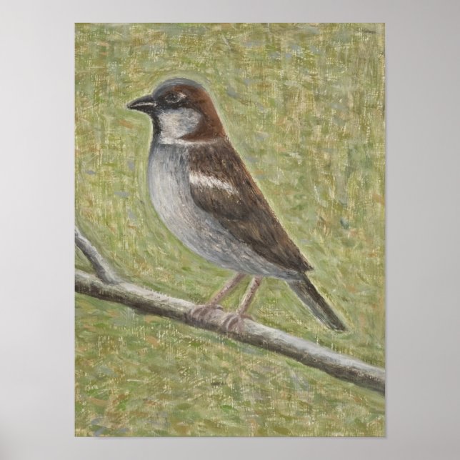 Póster House Sparrow 2008 (Frente)