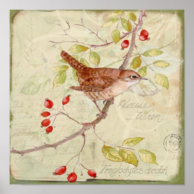 Póster House Wren Collage (Frente)