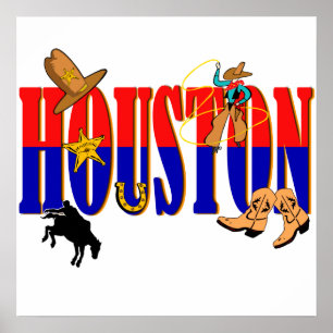 Póster Houston Pics