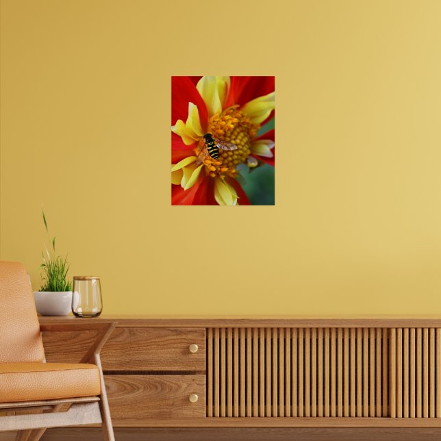 Póster Hover Fly en Collarette Dahlia Photography (Salón 2)
