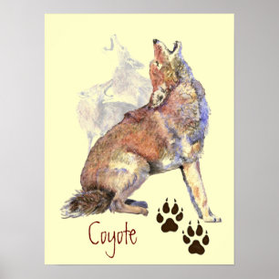 Póster Howling Coyote Poster