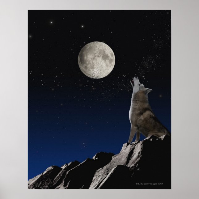 Póster Howling Wolf (Frente)