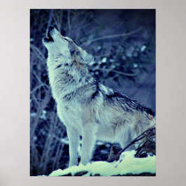 Póster Howling Wolf Winter Forest