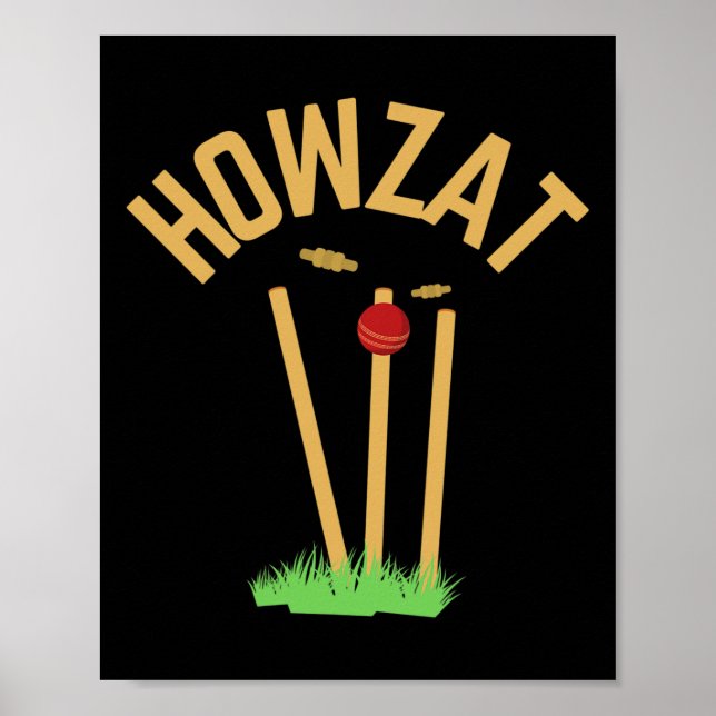 Póster Howzat Cricket Fan Wicked Bowled Gift Tsman Bowler (Frente)