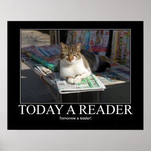 Póster Hoy un lector de imágenes de gatos