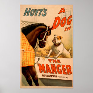 Póster Hoyt's A dog in the Manger Theatre Poster