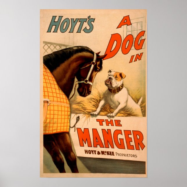 Póster Hoyt's A dog in the Manger Theatre Poster (Frente)