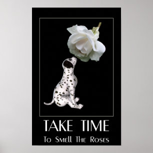 Póster Huele Las Rosas Cachorro Dalmatian Inspirador