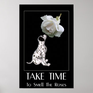 Póster Huele Las Rosas Cachorro Dalmatian Inspirador
