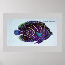 Póster huella de angelina vintage