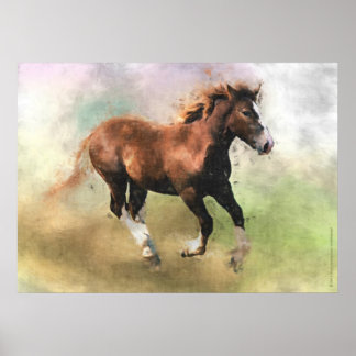 Póster Huella de boquilla de caballo de bretón