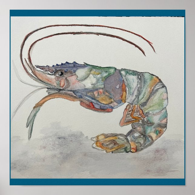 Póster huella de camarón de C. JONES (Frente)