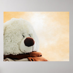 Póster Huella de oso