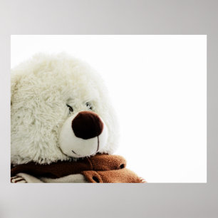 Póster Huella de oso