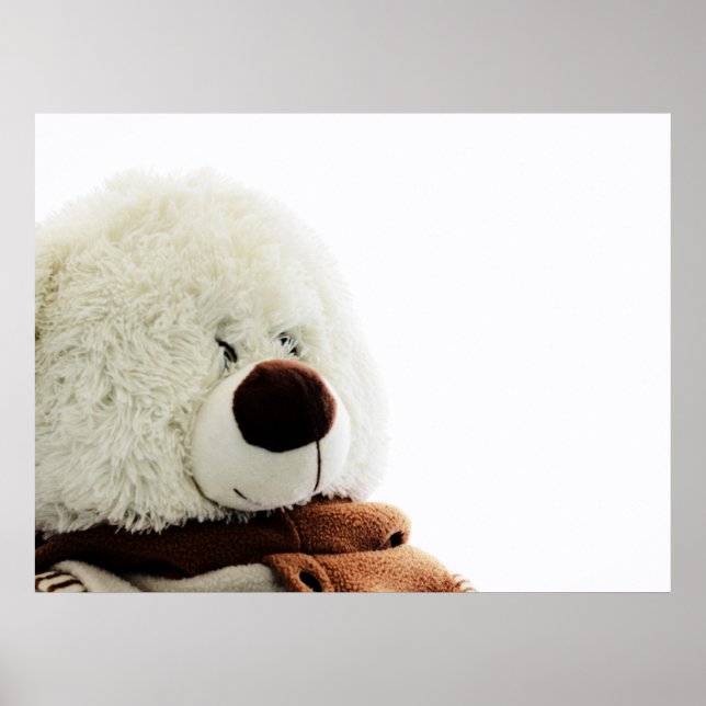 Póster Huella de oso (Frente)