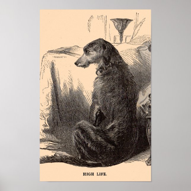 Póster Huella de perros del siglo XIX High Life (Frente)