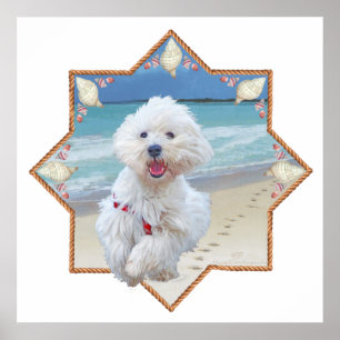 Póster Huella de playa