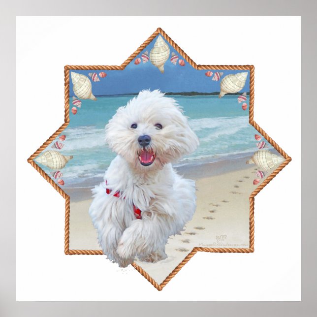 Póster Huella de playa (Frente)