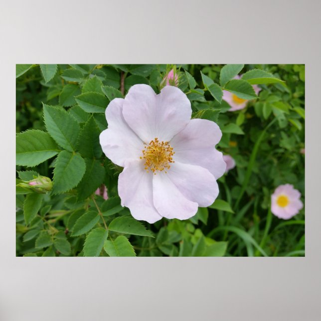 Póster Huella de primavera (Frente)