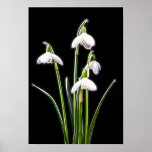 Póster Huella de Snowdrop