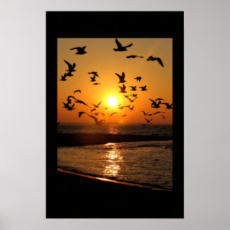 Póster Huella de sol de Gull