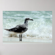 huella poster de gaviota marina