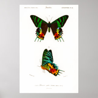 Póster Huella vintage de un Poster malgache de Sunset Mot