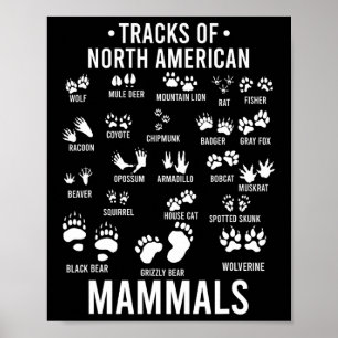 Póster Huellas de vida silvestre de mamíferos norteameric