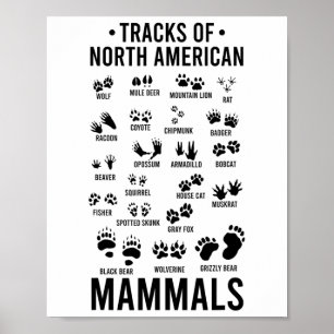 Póster Huellas De Vida Silvestre De Mamíferos Norteameric