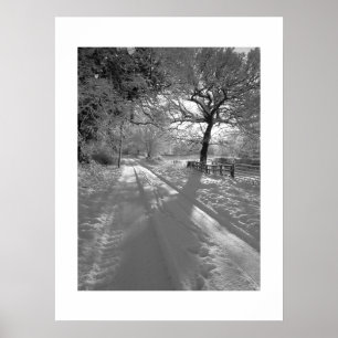 Póster Huellas en la nieve: Cheshire
