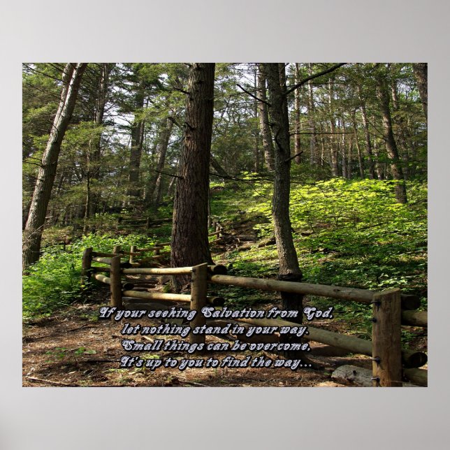 Póster Huellas naturales (Frente)