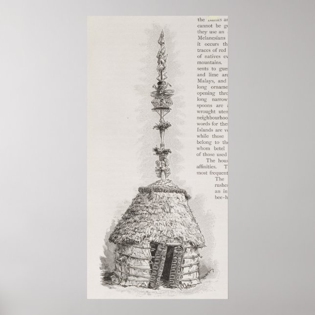 Póster Huerta de Nueva Caledonia (Frente)