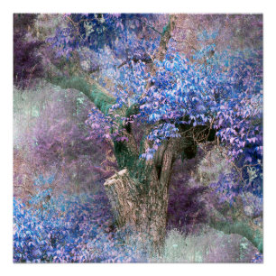 Póster Hues de primavera...