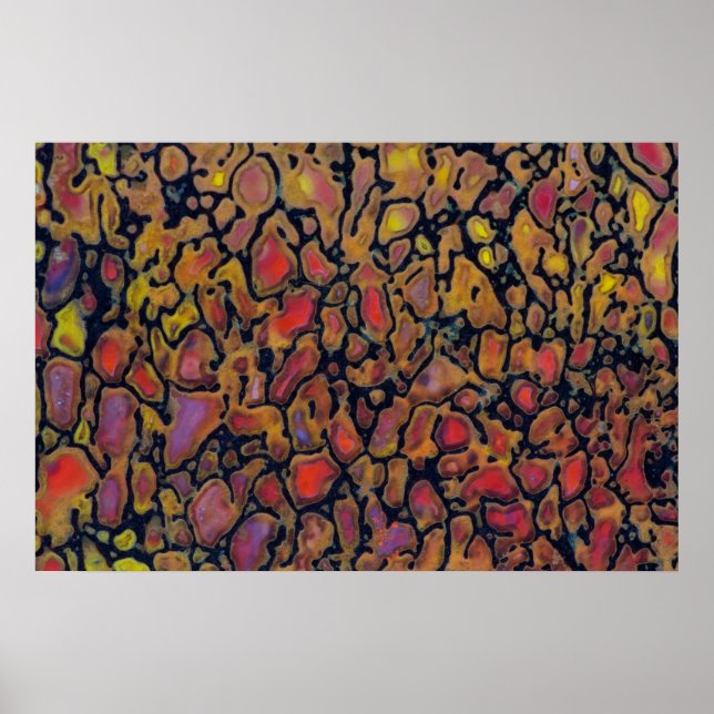 Póster Hueso de dinosaurio pateado (Frente)