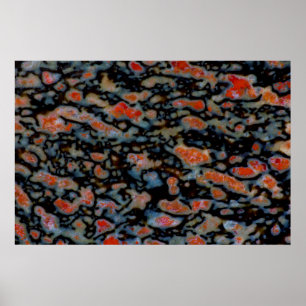 Póster Hueso de Dinosaurio Petrificado colorido