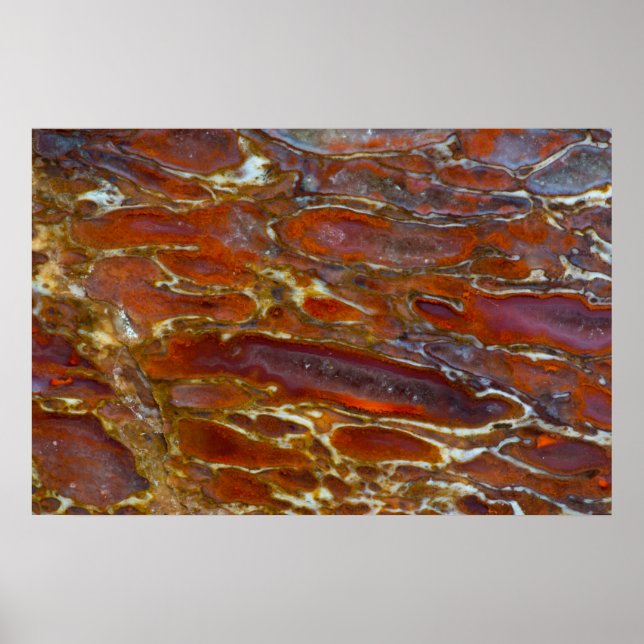 Póster Hueso Petrificado de Dinosaurio (Frente)