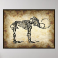 Huesos de dinosaurios de mamut anatómico vintage