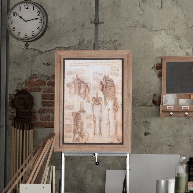 Póster Huesos de esqueleto de anatomía humana de Leonardo (Subido por el creador)
