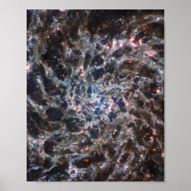 Póster Huesos de Galaxy IC5332 de JWST (Frente)