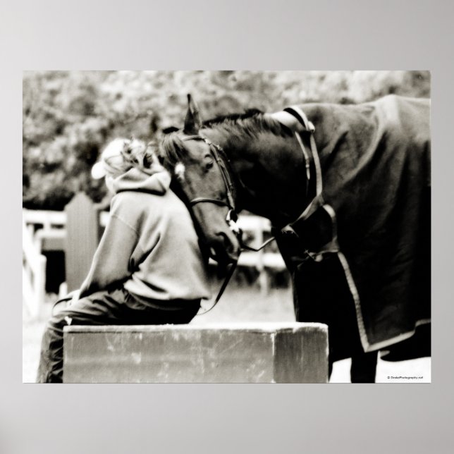 Póster Huevas de caballos (Frente)