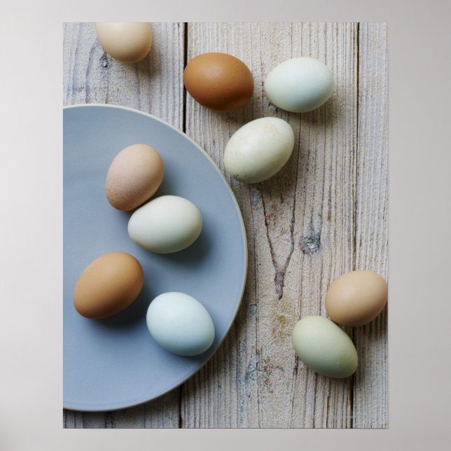 Póster Huevos enteros (Frente)