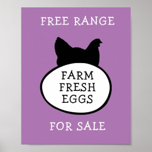 Póster Huevos frescos de granja