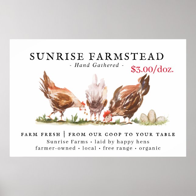 Póster Huevos Frescos de Granja para la Venta Letrero de  (Frente)