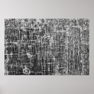 Póster huida de las paredes