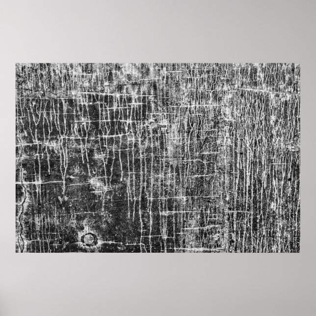 Póster huida de las paredes (Frente)