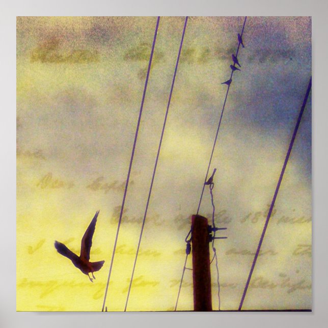 Póster Huir (Frente)