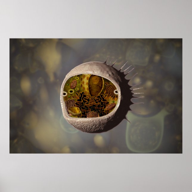 Póster Human Cell poster (Frente)