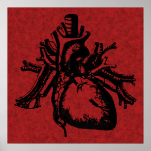 Póster Human Heart Poster