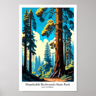 Póster Humboldt Redwoods Parque estatal Ilustracion de vi